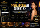 유흥사이트