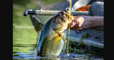 Fishing
