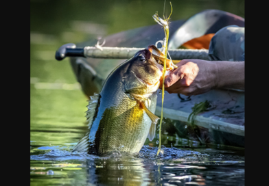 Fishing