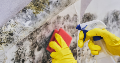 Mold removal