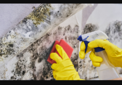 Mold removal