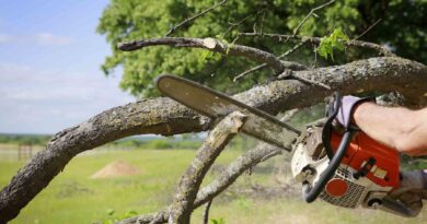 Tree Service